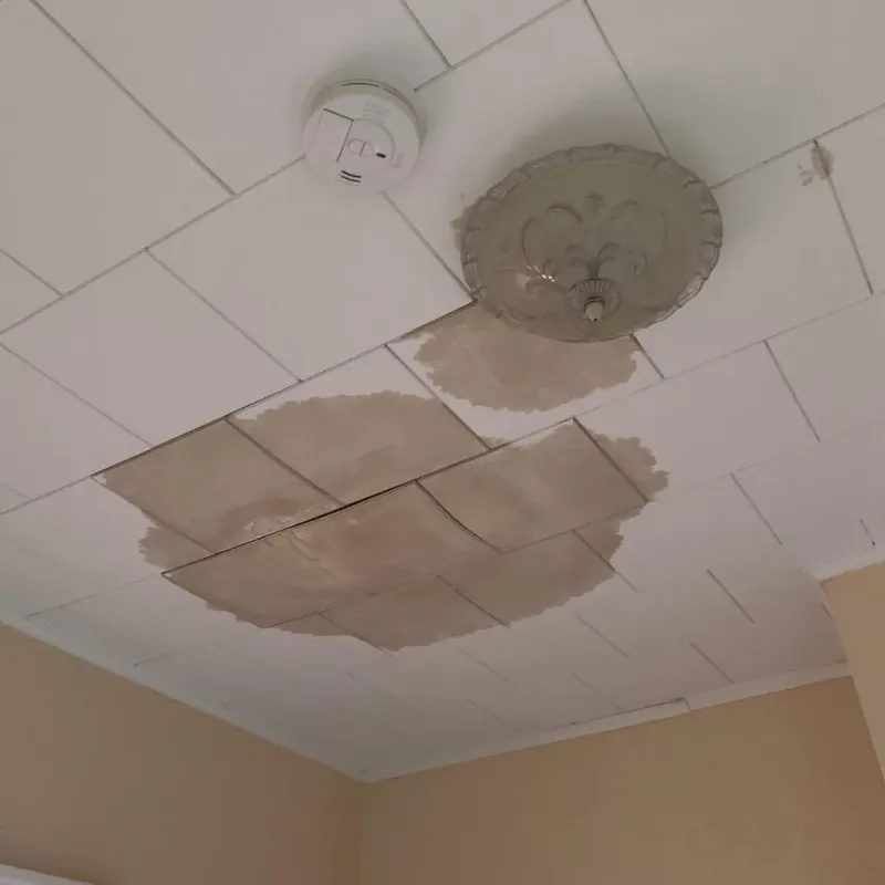 Ceiling Water Damage Repair in South Charleston, OH