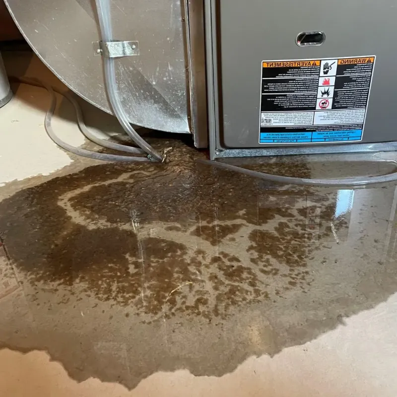Pipe Burst and Leak Restoration in South Charleston, OH